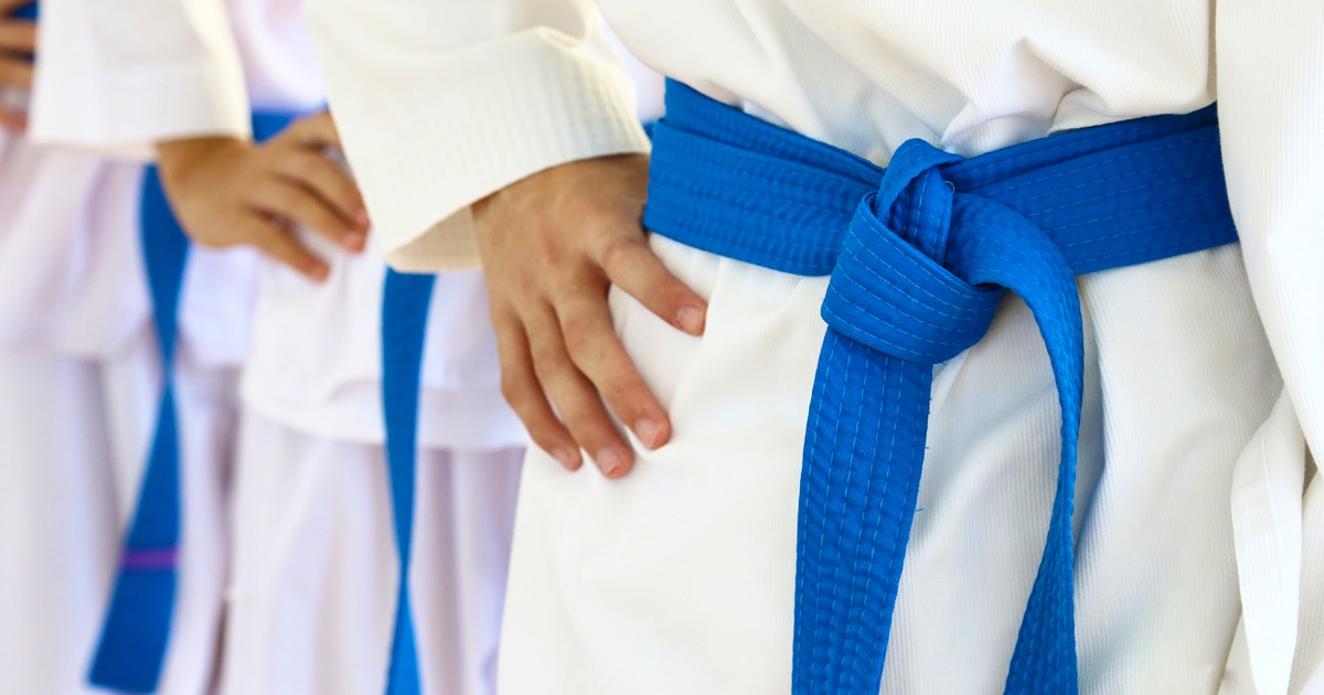 Advanced Blue Belt Karate - Kids Karate Classes New York | CourseHorse